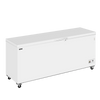 Tefcold Commercial Chest Freezer 660L | Solid Lid Ice Cream Freezer