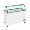 Commercial 10 Tub Ice Cream Dipping Cabineat 401L | Curved Glass Canopy Display Freezer