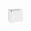 Tefcold Commercial Chest Freezer 278L | Stainless Steel Solid Lid Freezer