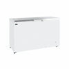 Tefcold Commercial Chest Freezer 463L | Stainless Steel Solid Lid Freezer