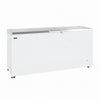 Tefcold Commercial Chest Freezer 567L | Stainless Steel Solid Lid Freezer